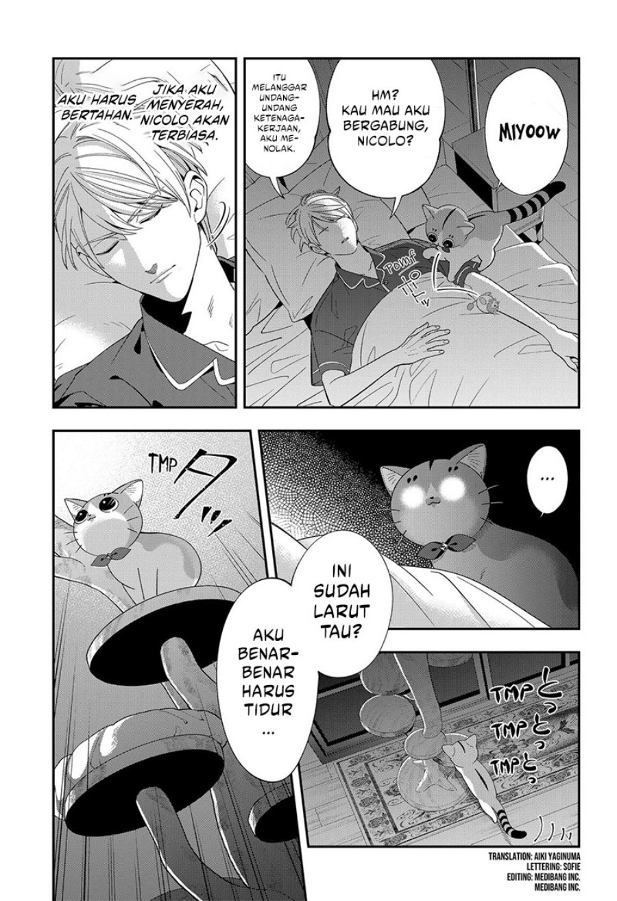 Miyaou Tarou ga Neko wo Kau Nante chapter 17