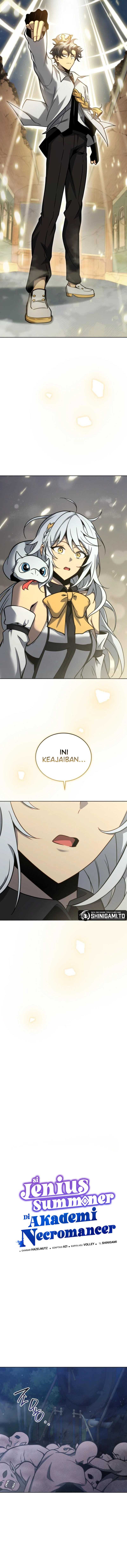Necromancer Academy’s Genius Summoner chapter 172