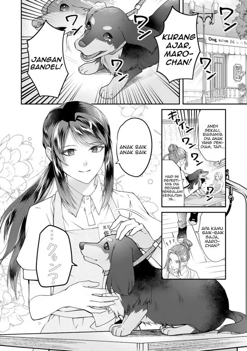 Neko Neko Youjo no Aijou Gohan ~Isekai de Mofumofu-tachi ni Ryouri wo Tsukurimasu!~ chapter 1