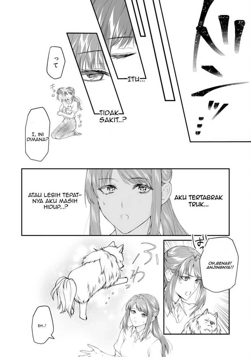 Neko Neko Youjo no Aijou Gohan ~Isekai de Mofumofu-tachi ni Ryouri wo Tsukurimasu!~ chapter 1