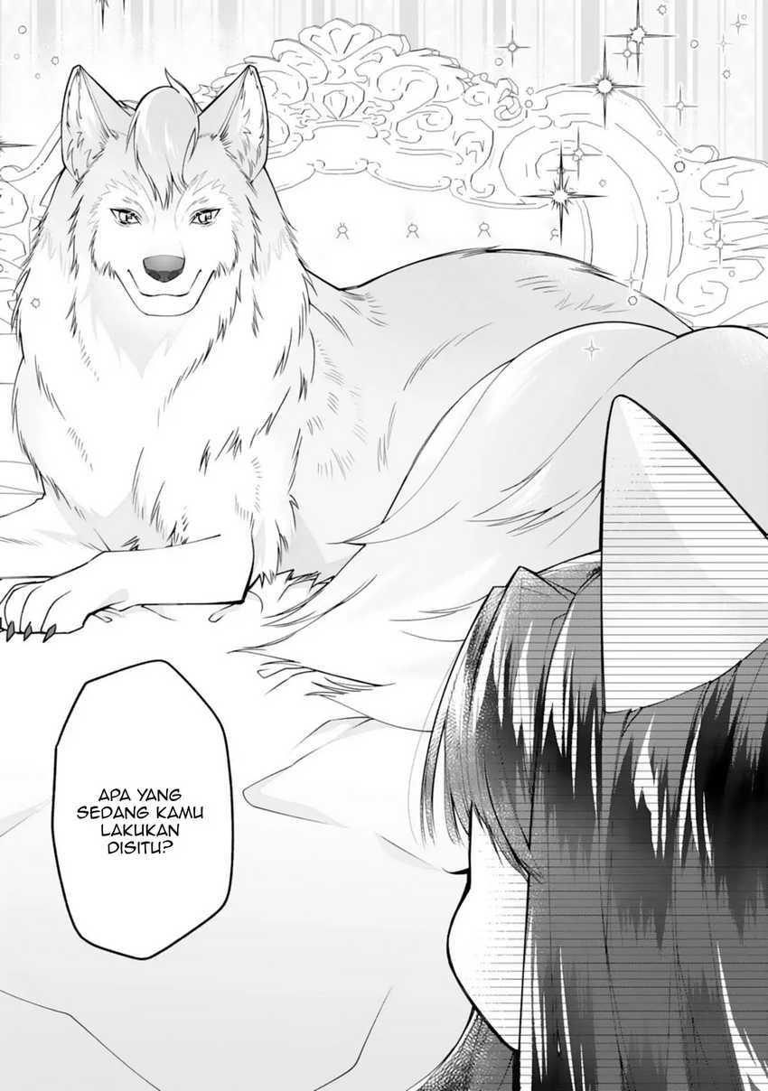 Neko Neko Youjo no Aijou Gohan ~Isekai de Mofumofu-tachi ni Ryouri wo Tsukurimasu!~ chapter 1