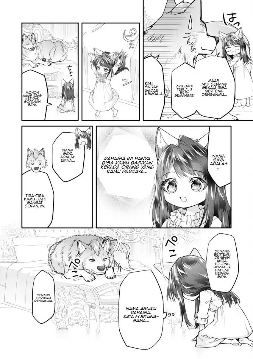 Neko Neko Youjo no Aijou Gohan ~Isekai de Mofumofu-tachi ni Ryouri wo Tsukurimasu!~ chapter 1