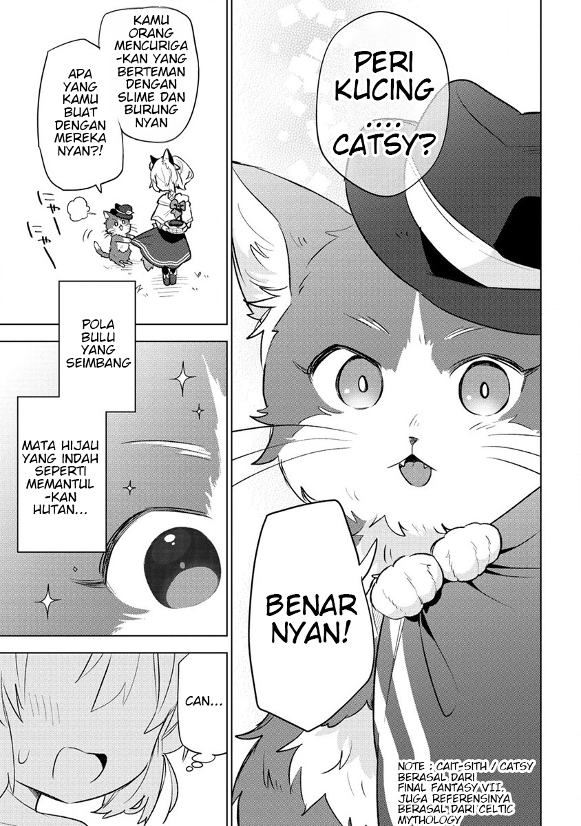 Nekomimi Shoujo wa Mori de Slow Life wo Okuritai: Mofumofu wa Shomou Shimashita ga, Seijo to ka Ouji-sama to ka wa Chuumongai desu chapter 3