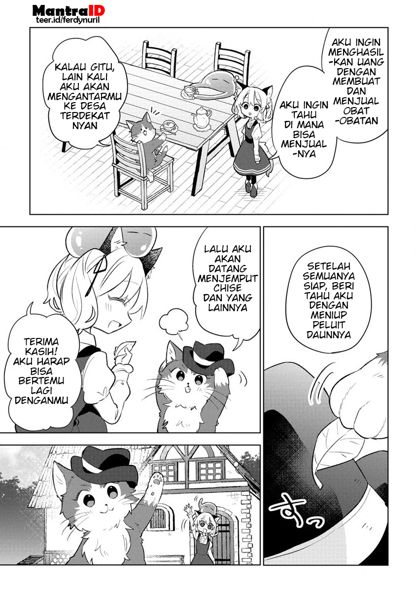 Nekomimi Shoujo wa Mori de Slow Life wo Okuritai: Mofumofu wa Shomou Shimashita ga, Seijo to ka Ouji-sama to ka wa Chuumongai desu chapter 3