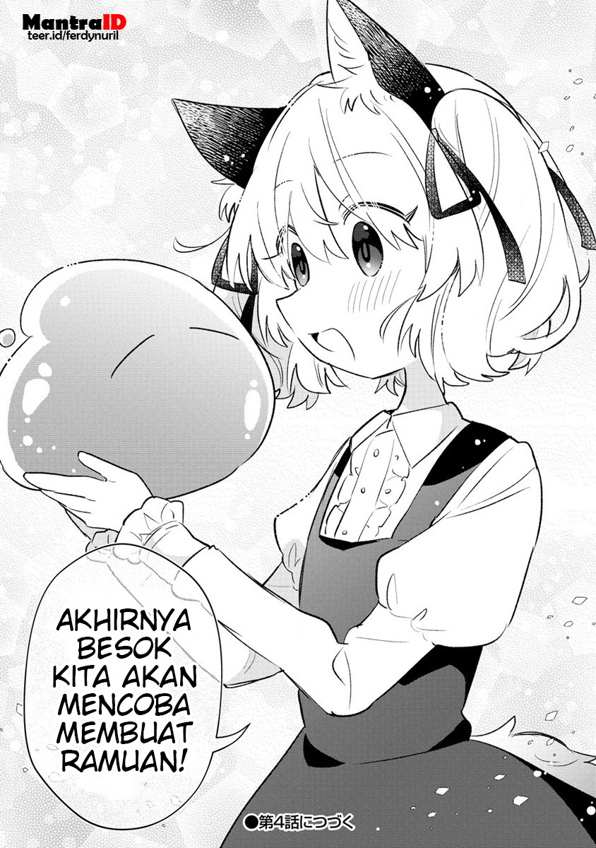Nekomimi Shoujo wa Mori de Slow Life wo Okuritai: Mofumofu wa Shomou Shimashita ga, Seijo to ka Ouji-sama to ka wa Chuumongai desu chapter 3