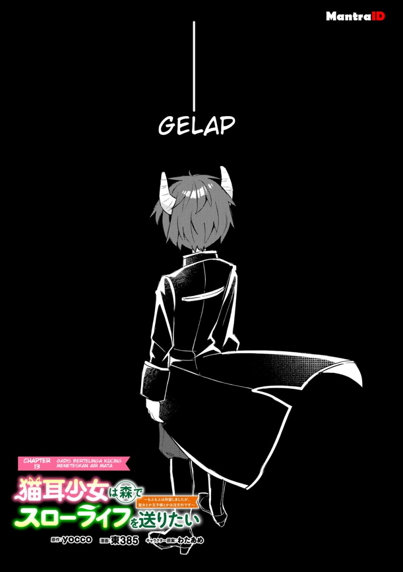 Nekomimi Shoujo wa Mori de Slow Life wo Okuritai: Mofumofu wa Shomou Shimashita ga, Seijo to ka Ouji-sama to ka wa Chuumongai desu chapter 13