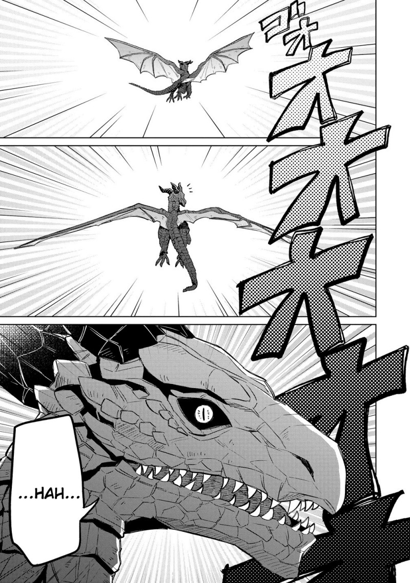 Nekomimi Shoujo wa Mori de Slow Life wo Okuritai: Mofumofu wa Shomou Shimashita ga, Seijo to ka Ouji-sama to ka wa Chuumongai desu chapter 13