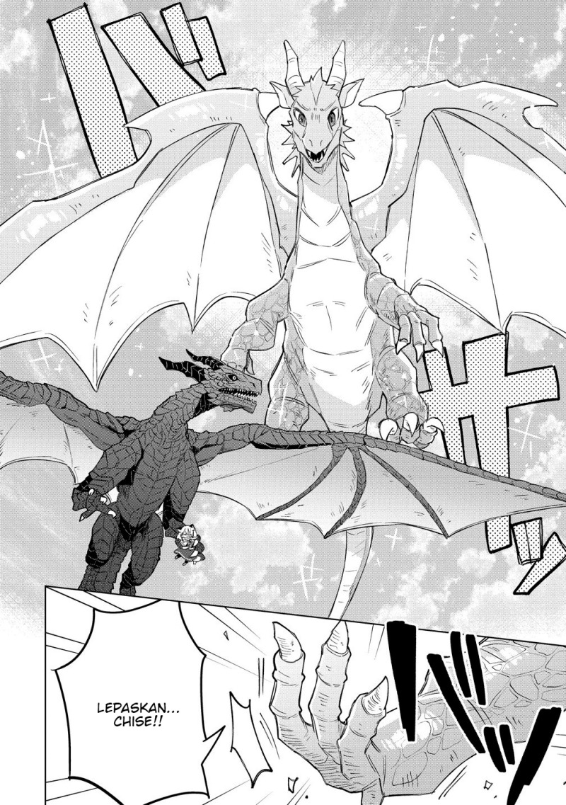 Nekomimi Shoujo wa Mori de Slow Life wo Okuritai: Mofumofu wa Shomou Shimashita ga, Seijo to ka Ouji-sama to ka wa Chuumongai desu chapter 13