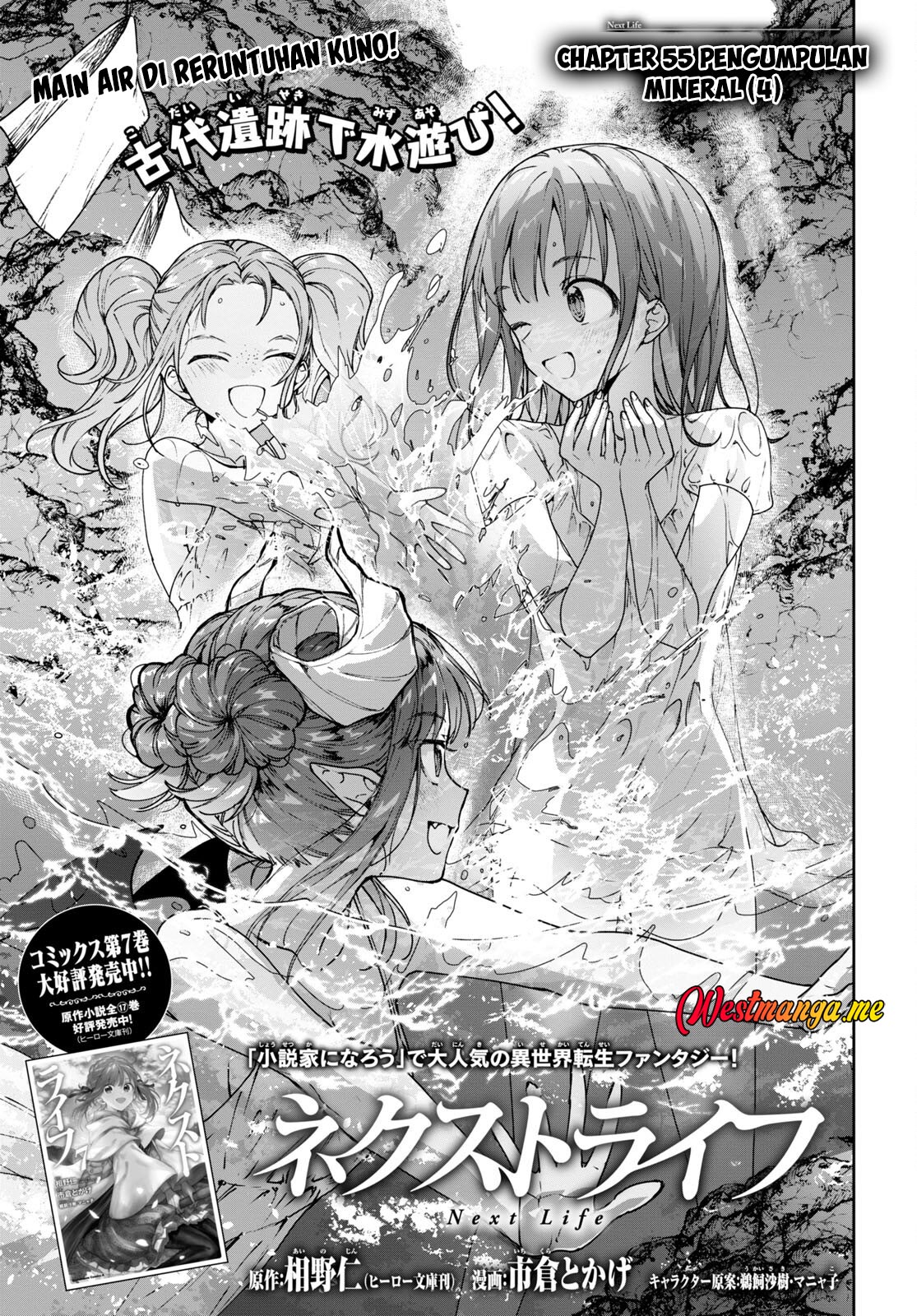 Next Life chapter 55