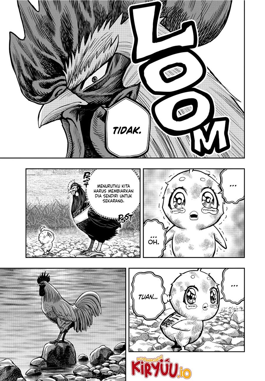 Dilarang COPAS - situs resmi www.mangacanblog.com - Komik rooster fighter 020 - chapter 20 21 Indonesia rooster fighter 020 - chapter 20 Terbaru 7|Baca Manga Komik Indonesia|Mangacan