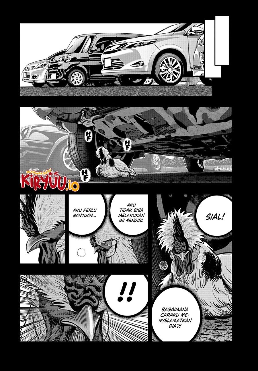 Dilarang COPAS - situs resmi www.mangacanblog.com - Komik rooster fighter 020 - chapter 20 21 Indonesia rooster fighter 020 - chapter 20 Terbaru 41|Baca Manga Komik Indonesia|Mangacan