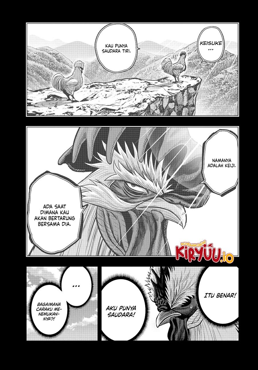 Dilarang COPAS - situs resmi www.mangacanblog.com - Komik rooster fighter 020 - chapter 20 21 Indonesia rooster fighter 020 - chapter 20 Terbaru 42|Baca Manga Komik Indonesia|Mangacan