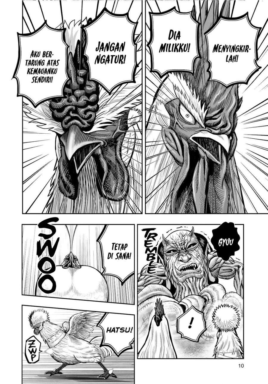 Dilarang COPAS - situs resmi www.mangacanblog.com - Komik rooster fighter 021 - chapter 21 22 Indonesia rooster fighter 021 - chapter 21 Terbaru 11|Baca Manga Komik Indonesia|Mangacan