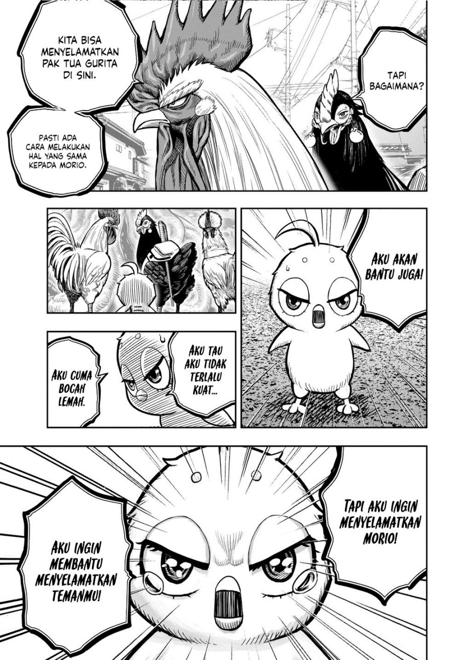 Dilarang COPAS - situs resmi www.mangacanblog.com - Komik rooster fighter 021 - chapter 21 22 Indonesia rooster fighter 021 - chapter 21 Terbaru 28|Baca Manga Komik Indonesia|Mangacan