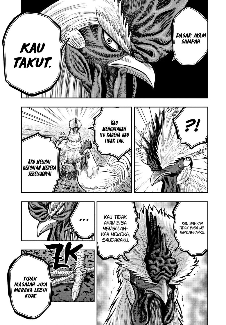 Dilarang COPAS - situs resmi www.mangacanblog.com - Komik rooster fighter 021 - chapter 21 22 Indonesia rooster fighter 021 - chapter 21 Terbaru 30|Baca Manga Komik Indonesia|Mangacan