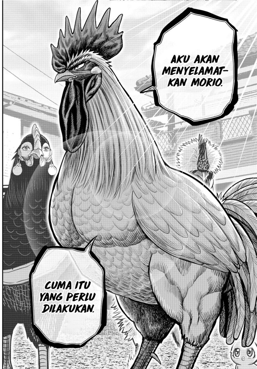 Dilarang COPAS - situs resmi www.mangacanblog.com - Komik rooster fighter 021 - chapter 21 22 Indonesia rooster fighter 021 - chapter 21 Terbaru 31|Baca Manga Komik Indonesia|Mangacan