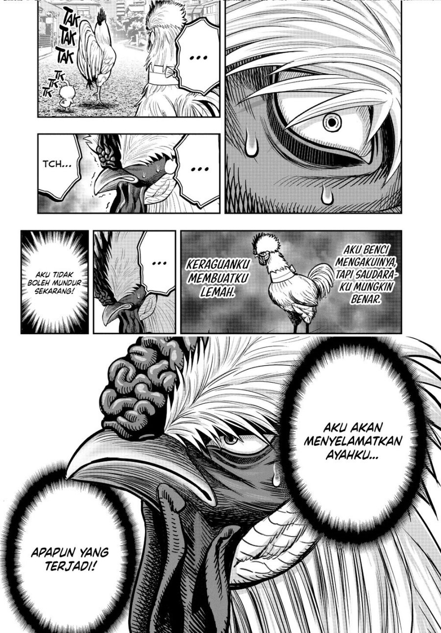 Dilarang COPAS - situs resmi www.mangacanblog.com - Komik rooster fighter 021 - chapter 21 22 Indonesia rooster fighter 021 - chapter 21 Terbaru 32|Baca Manga Komik Indonesia|Mangacan
