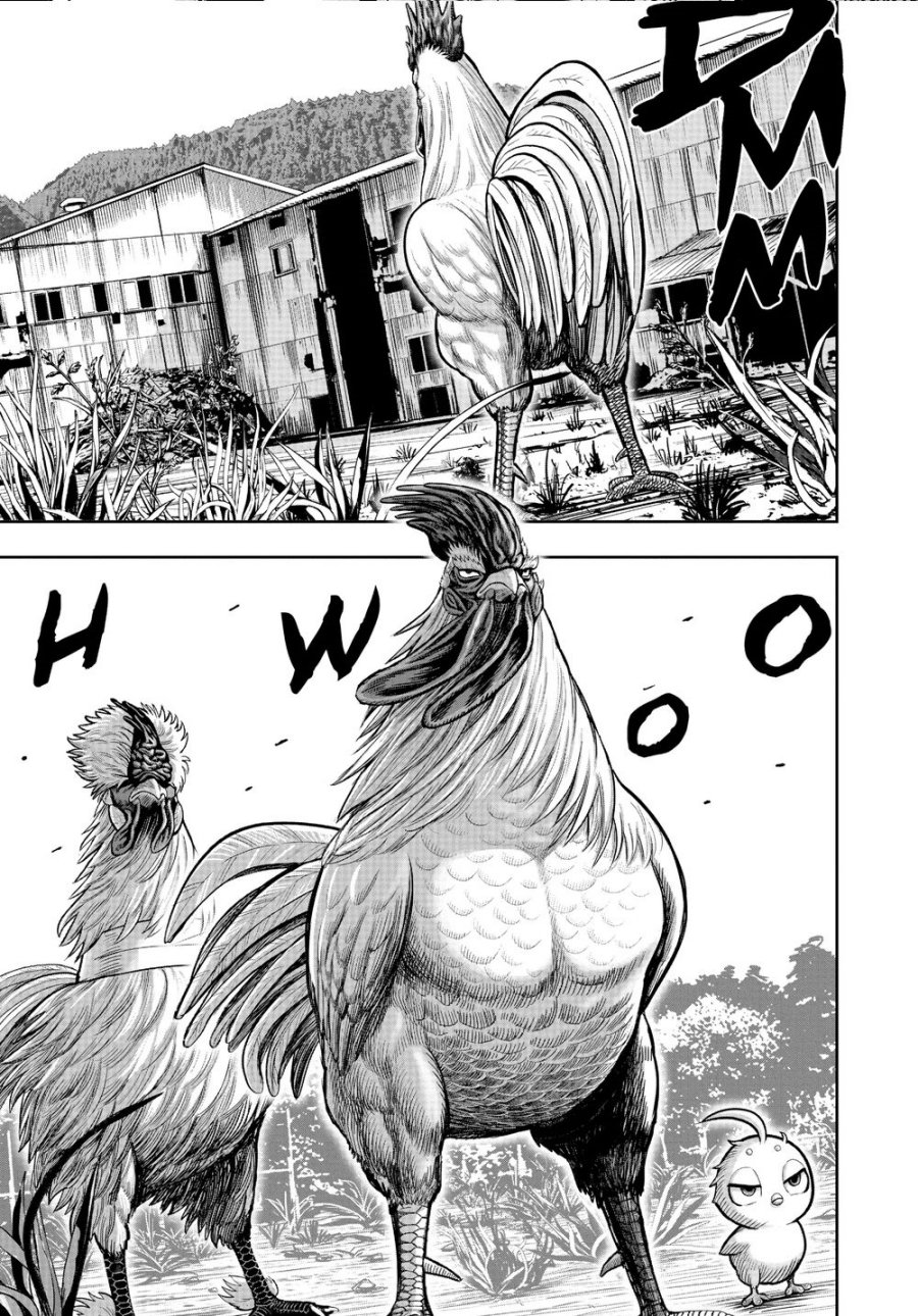 Dilarang COPAS - situs resmi www.mangacanblog.com - Komik rooster fighter 021 - chapter 21 22 Indonesia rooster fighter 021 - chapter 21 Terbaru 38|Baca Manga Komik Indonesia|Mangacan