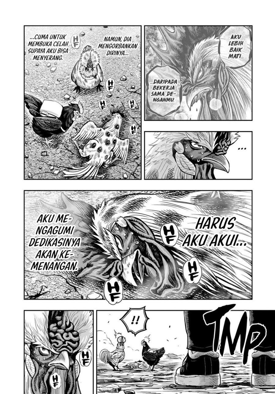 Dilarang COPAS - situs resmi www.mangacanblog.com - Komik rooster fighter 025 - chapter 25 26 Indonesia rooster fighter 025 - chapter 25 Terbaru 58|Baca Manga Komik Indonesia|Mangacan