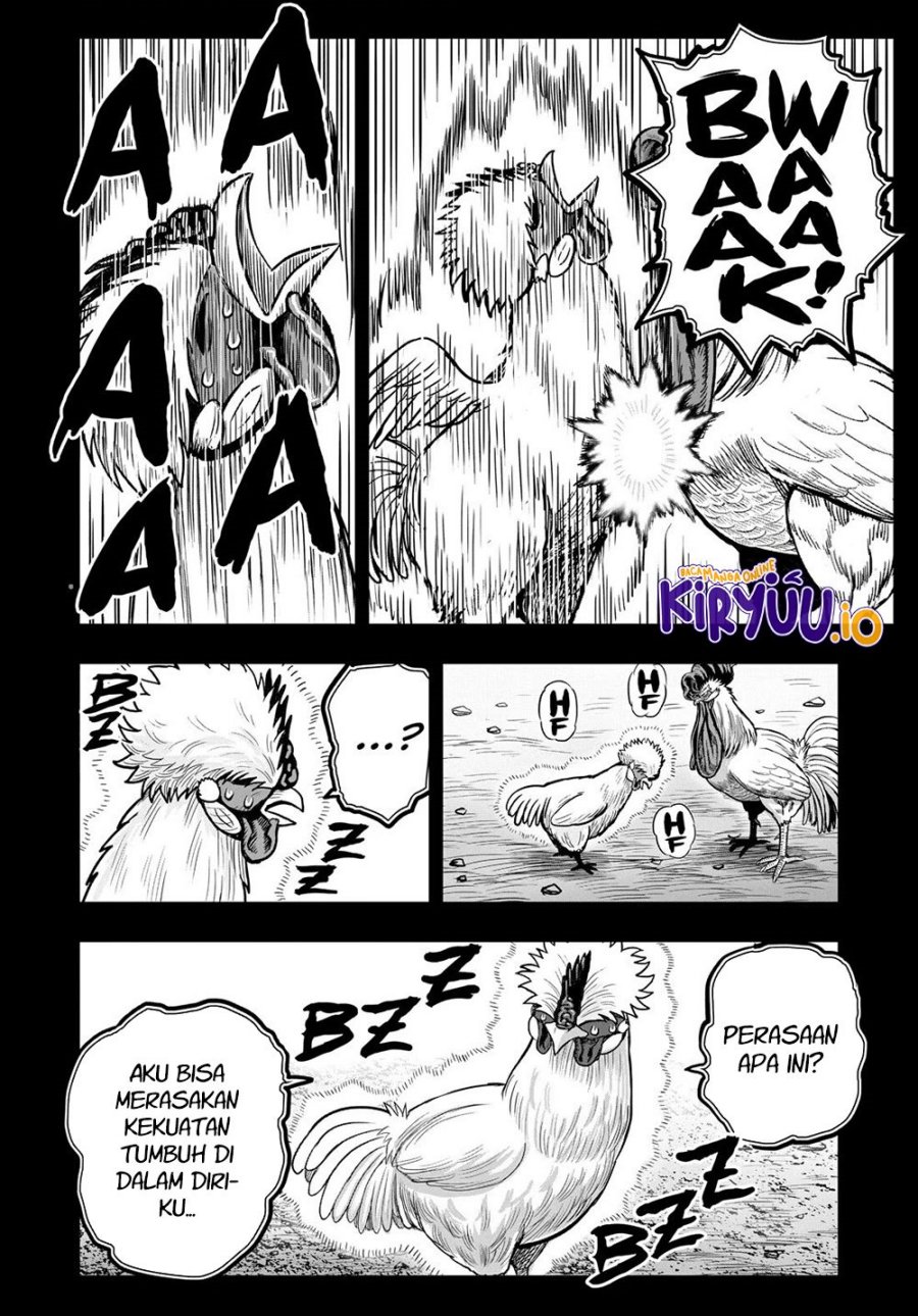 Dilarang COPAS - situs resmi www.mangacanblog.com - Komik rooster fighter 026 - chapter 26 27 Indonesia rooster fighter 026 - chapter 26 Terbaru 24|Baca Manga Komik Indonesia|Mangacan