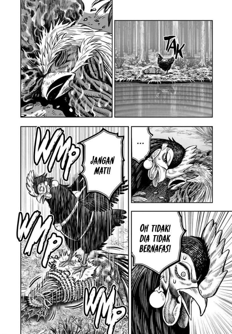 Dilarang COPAS - situs resmi www.mangacanblog.com - Komik rooster fighter 029 - chapter 29 30 Indonesia rooster fighter 029 - chapter 29 Terbaru 36|Baca Manga Komik Indonesia|Mangacan