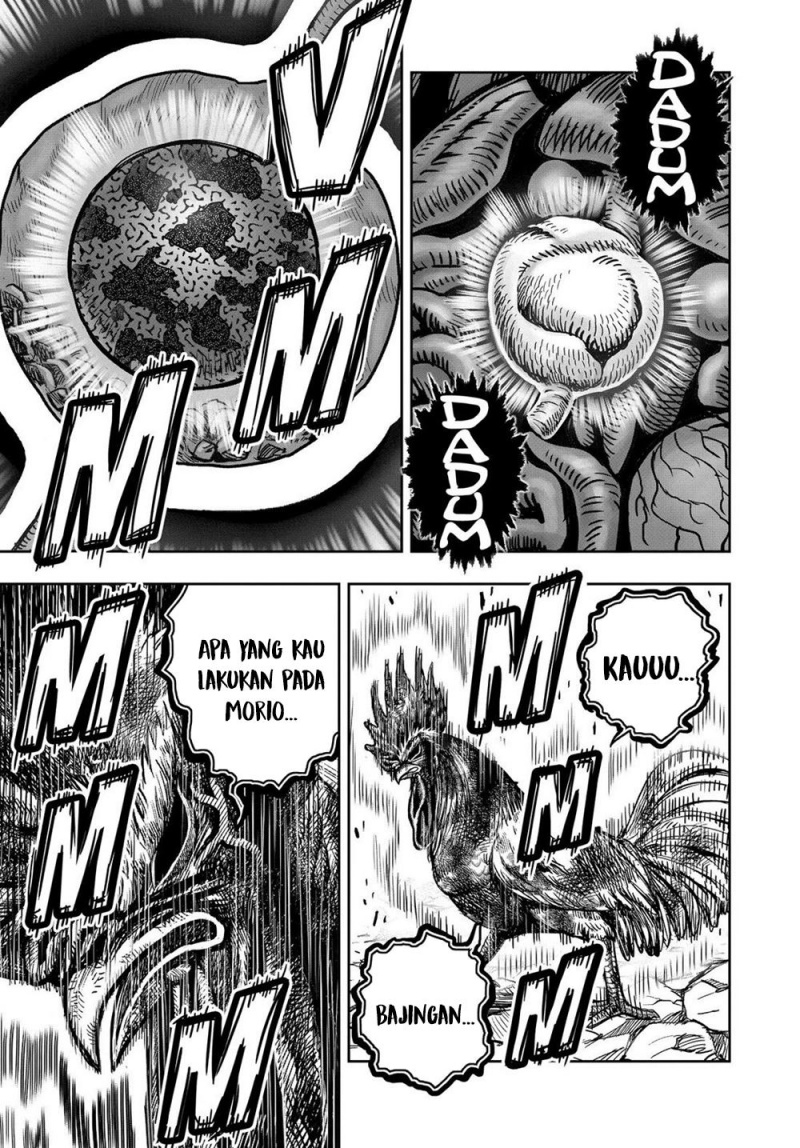 Dilarang COPAS - situs resmi www.mangacanblog.com - Komik rooster fighter 029 - chapter 29 30 Indonesia rooster fighter 029 - chapter 29 Terbaru 52|Baca Manga Komik Indonesia|Mangacan