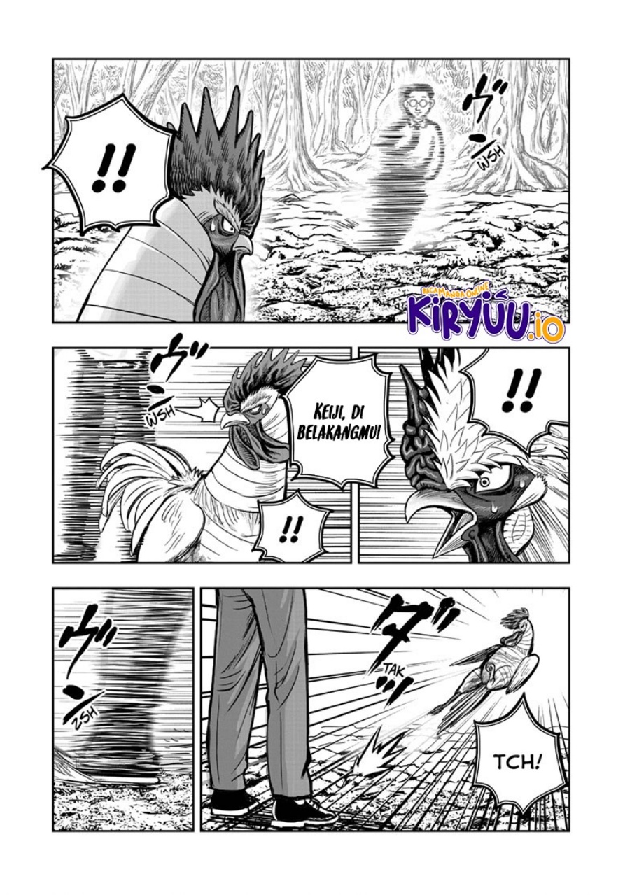 Niwatori Fighter (Rooster Fighter) Chapter 39 Bahasa Indonesia
