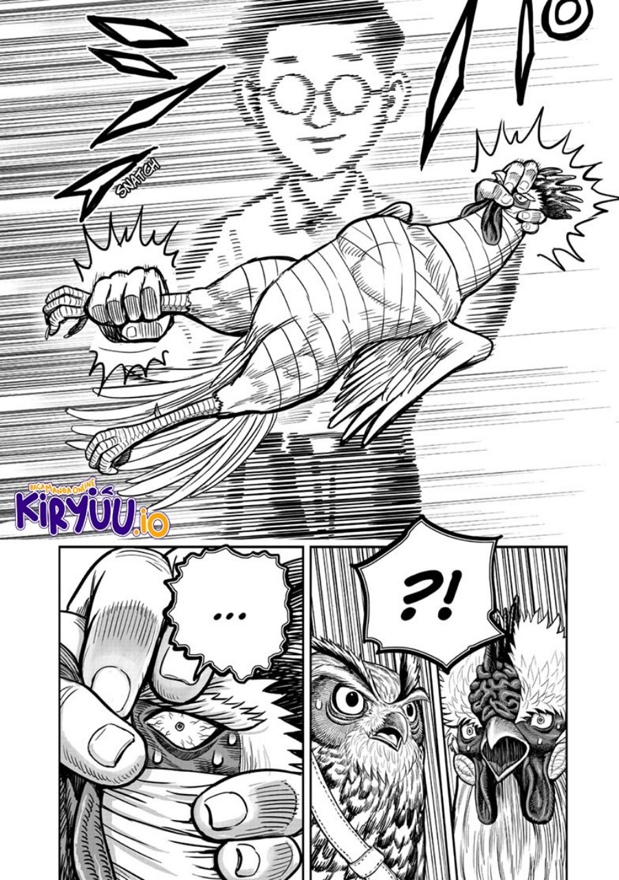 Niwatori Fighter (Rooster Fighter) Chapter 39 Bahasa Indonesia