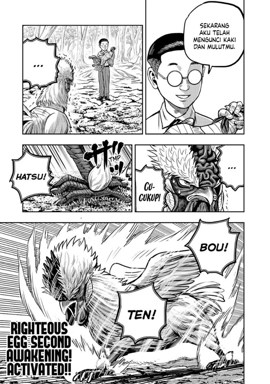 Niwatori Fighter (Rooster Fighter) Chapter 39 Bahasa Indonesia