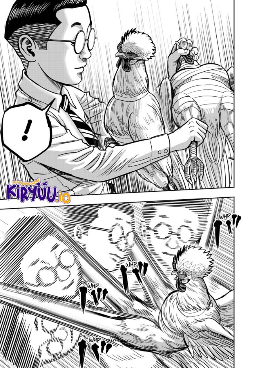 Niwatori Fighter (Rooster Fighter) Chapter 39 Bahasa Indonesia