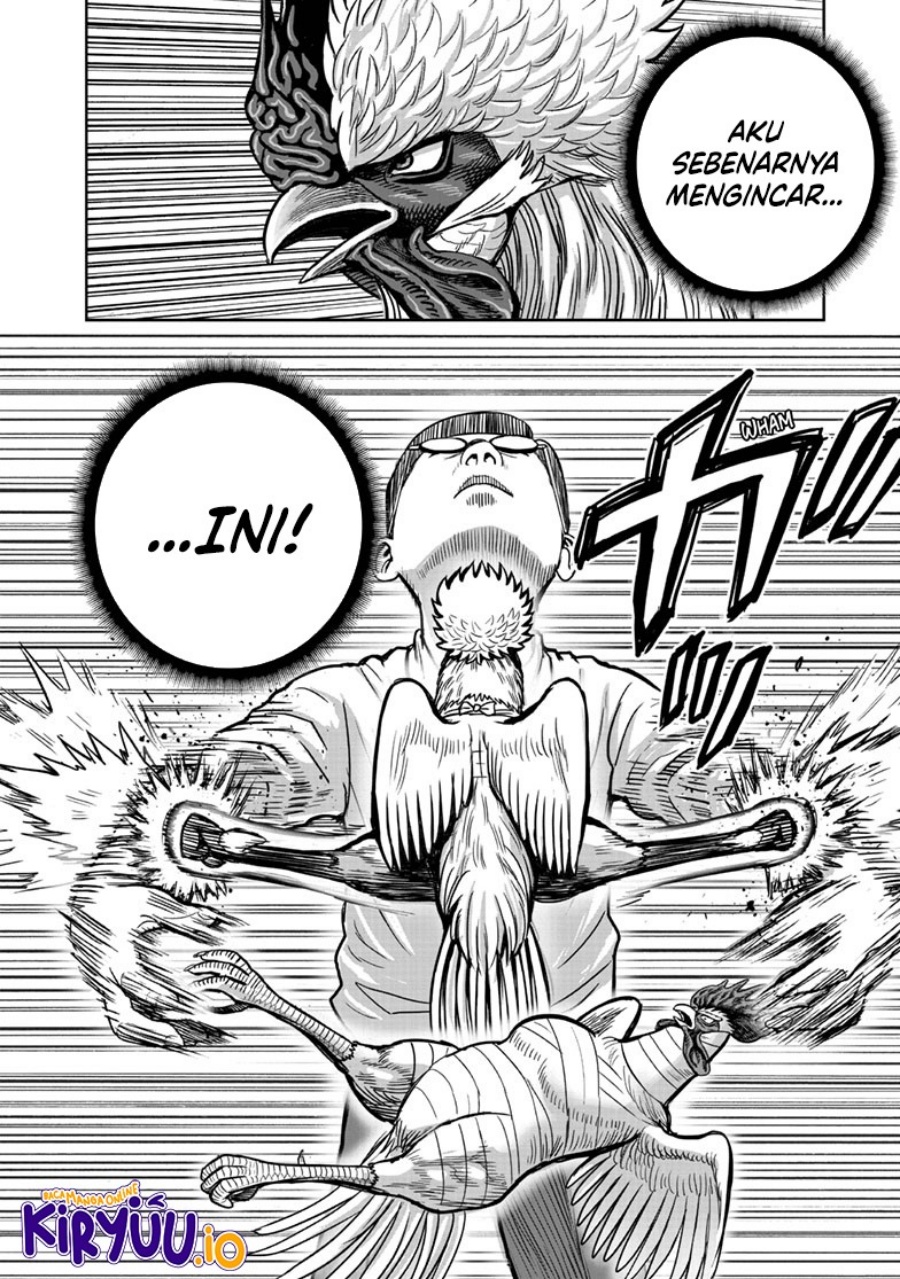 Niwatori Fighter (Rooster Fighter) Chapter 39 Bahasa Indonesia