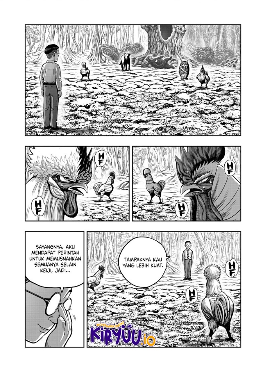 Niwatori Fighter (Rooster Fighter) Chapter 39 Bahasa Indonesia