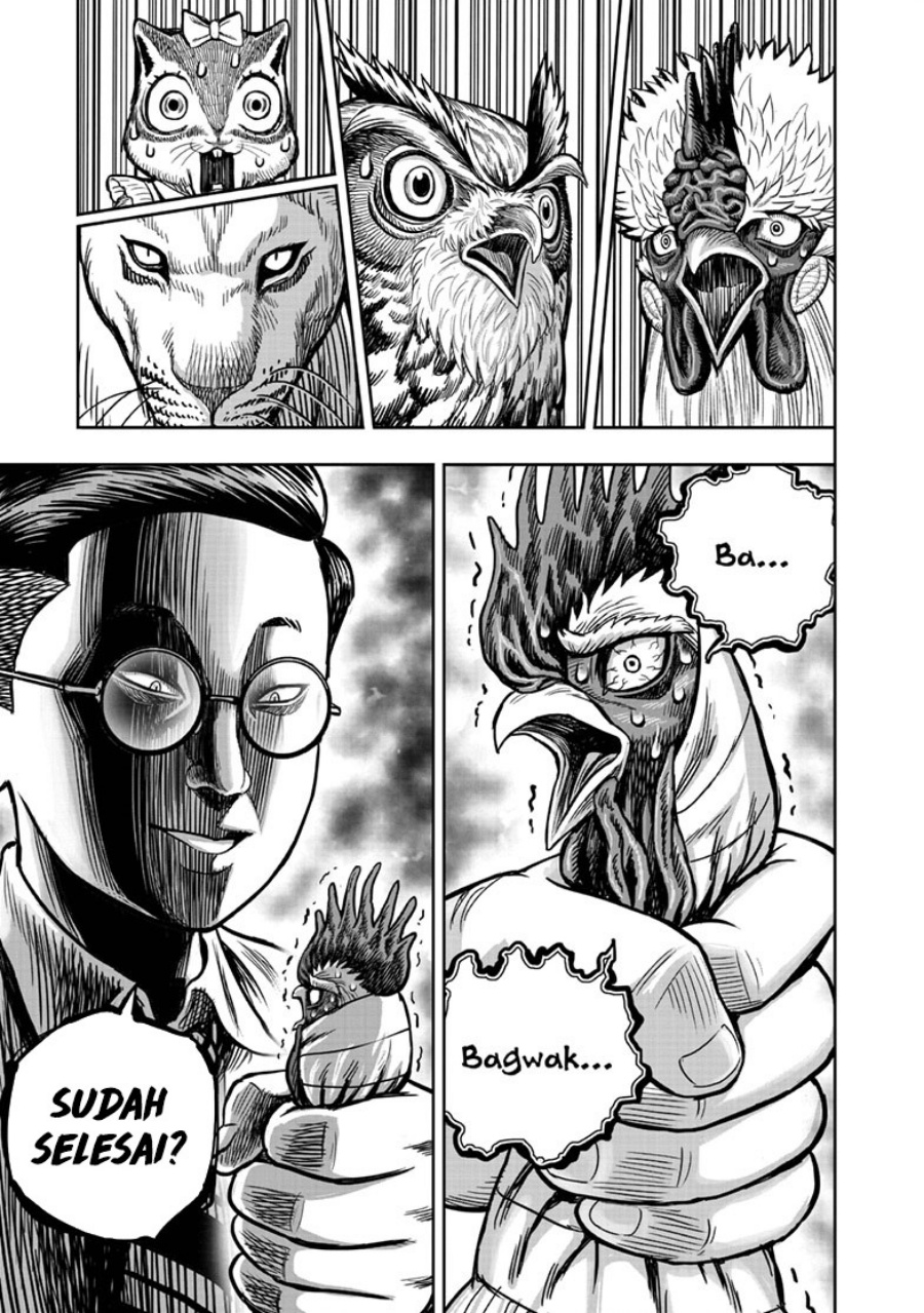 Niwatori Fighter (Rooster Fighter) Chapter 39 Bahasa Indonesia