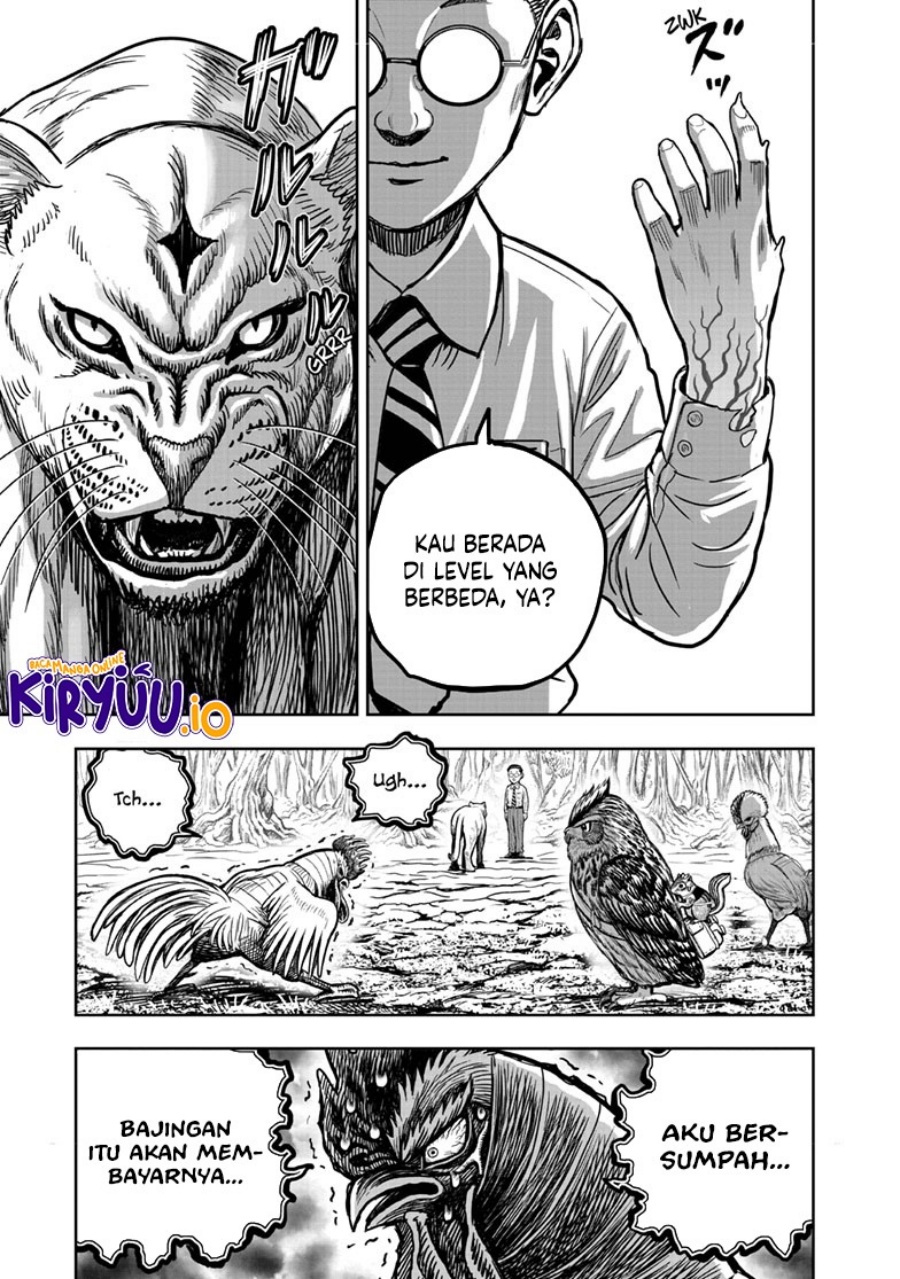 Niwatori Fighter (Rooster Fighter) Chapter 39 Bahasa Indonesia