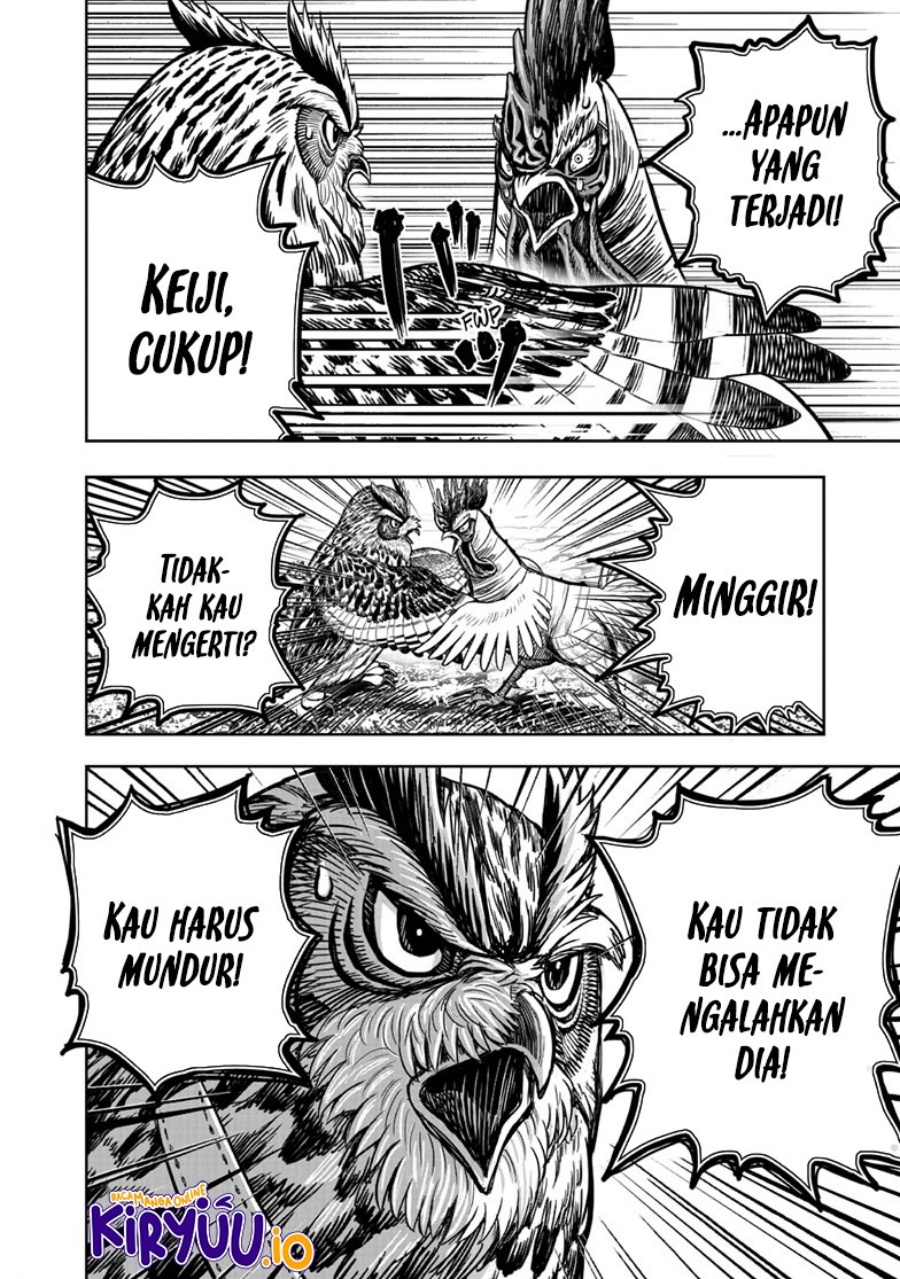 Niwatori Fighter (Rooster Fighter) Chapter 39 Bahasa Indonesia