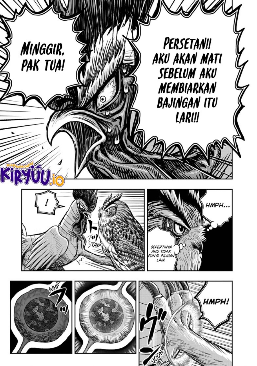 Niwatori Fighter (Rooster Fighter) Chapter 39 Bahasa Indonesia