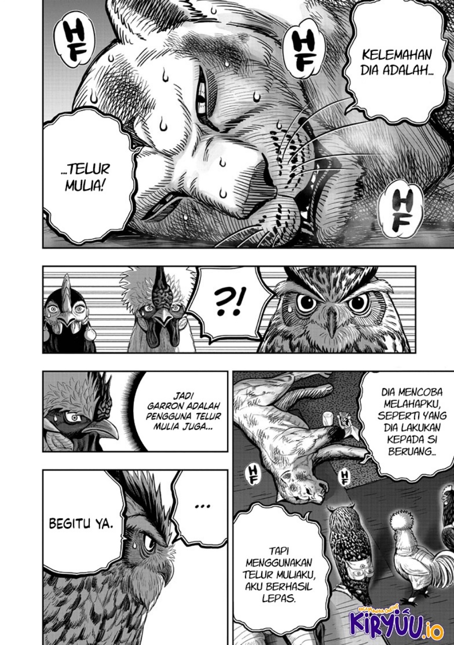 Niwatori Fighter (Rooster Fighter) Chapter 41 Bahasa Indonesia