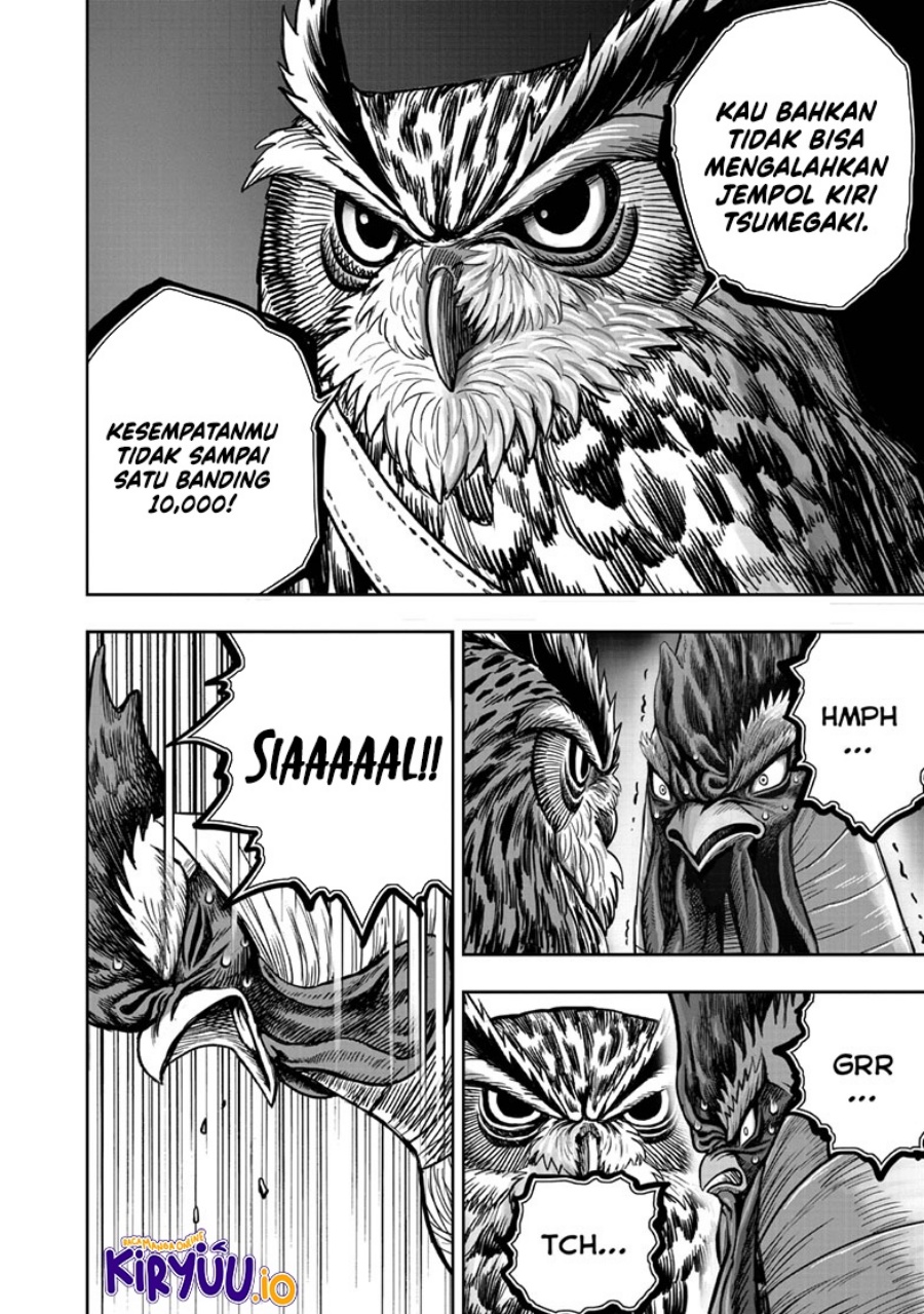 Niwatori Fighter (Rooster Fighter) Chapter 41 Bahasa Indonesia