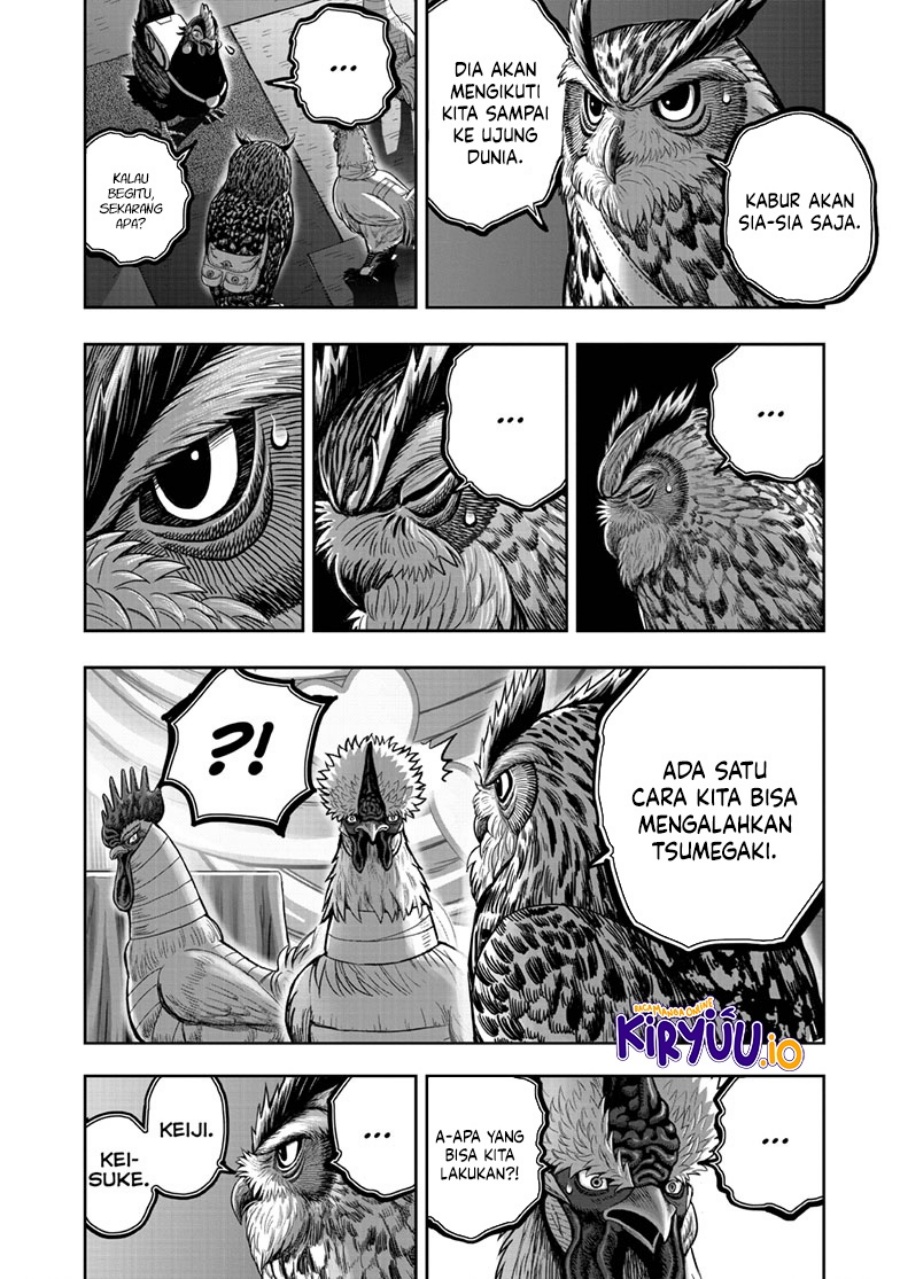 Niwatori Fighter (Rooster Fighter) Chapter 41 Bahasa Indonesia