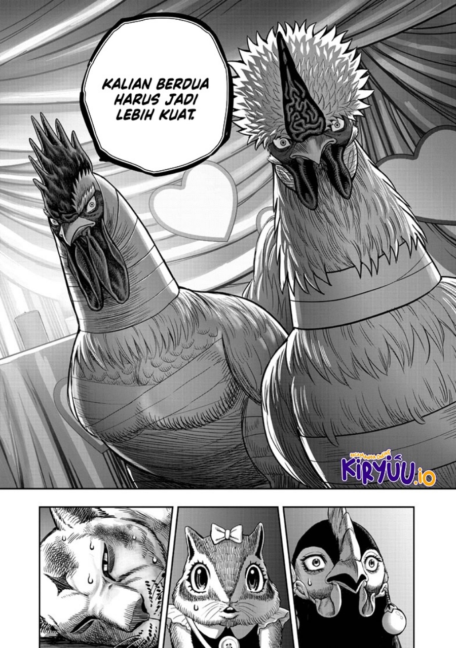 Niwatori Fighter (Rooster Fighter) Chapter 41 Bahasa Indonesia