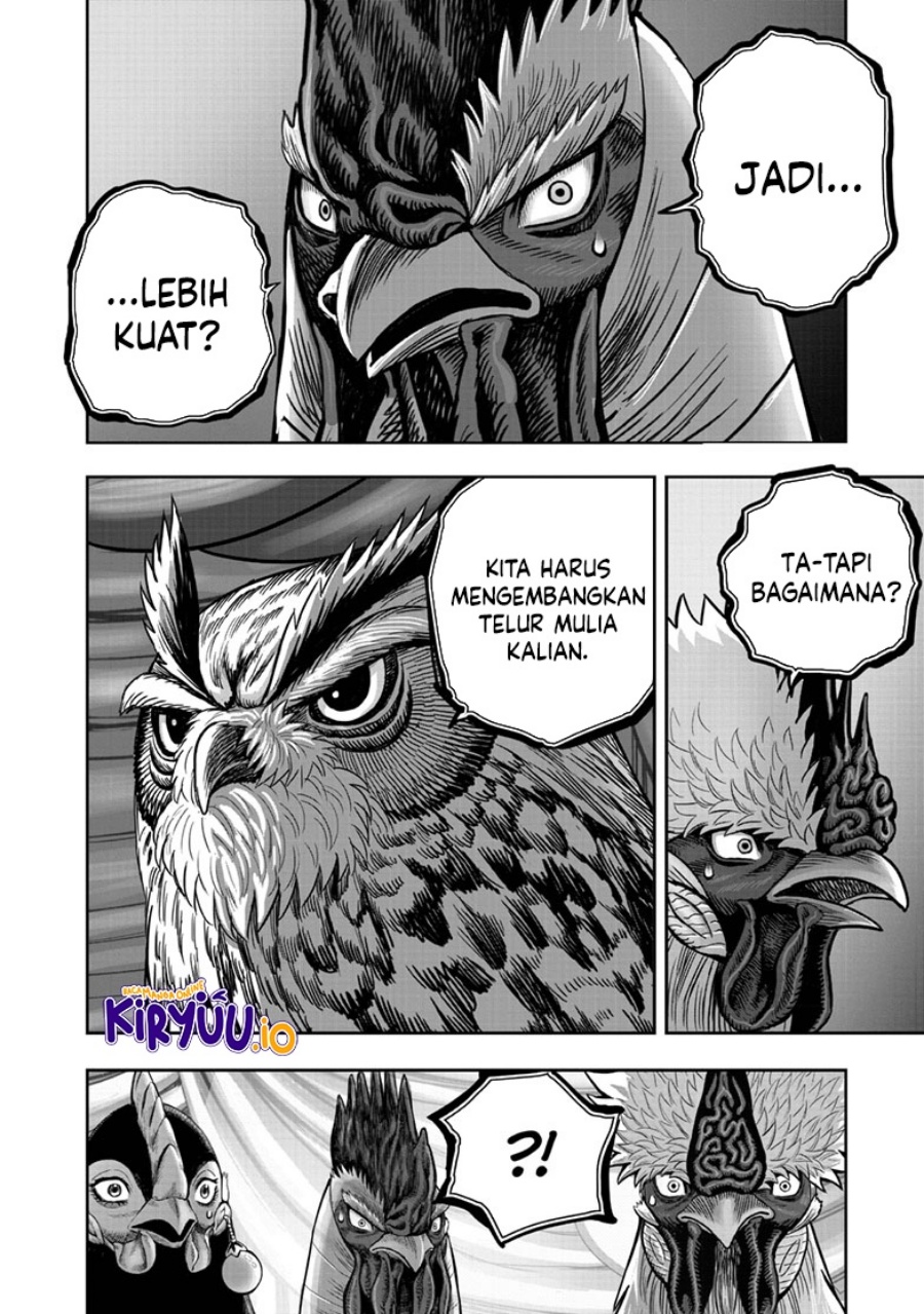 Niwatori Fighter (Rooster Fighter) Chapter 41 Bahasa Indonesia