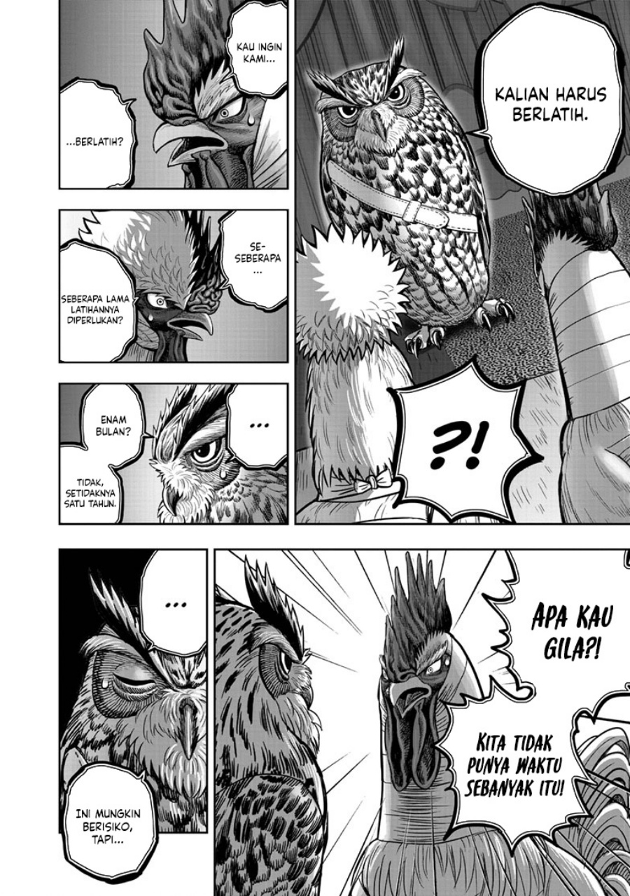 Niwatori Fighter (Rooster Fighter) Chapter 41 Bahasa Indonesia
