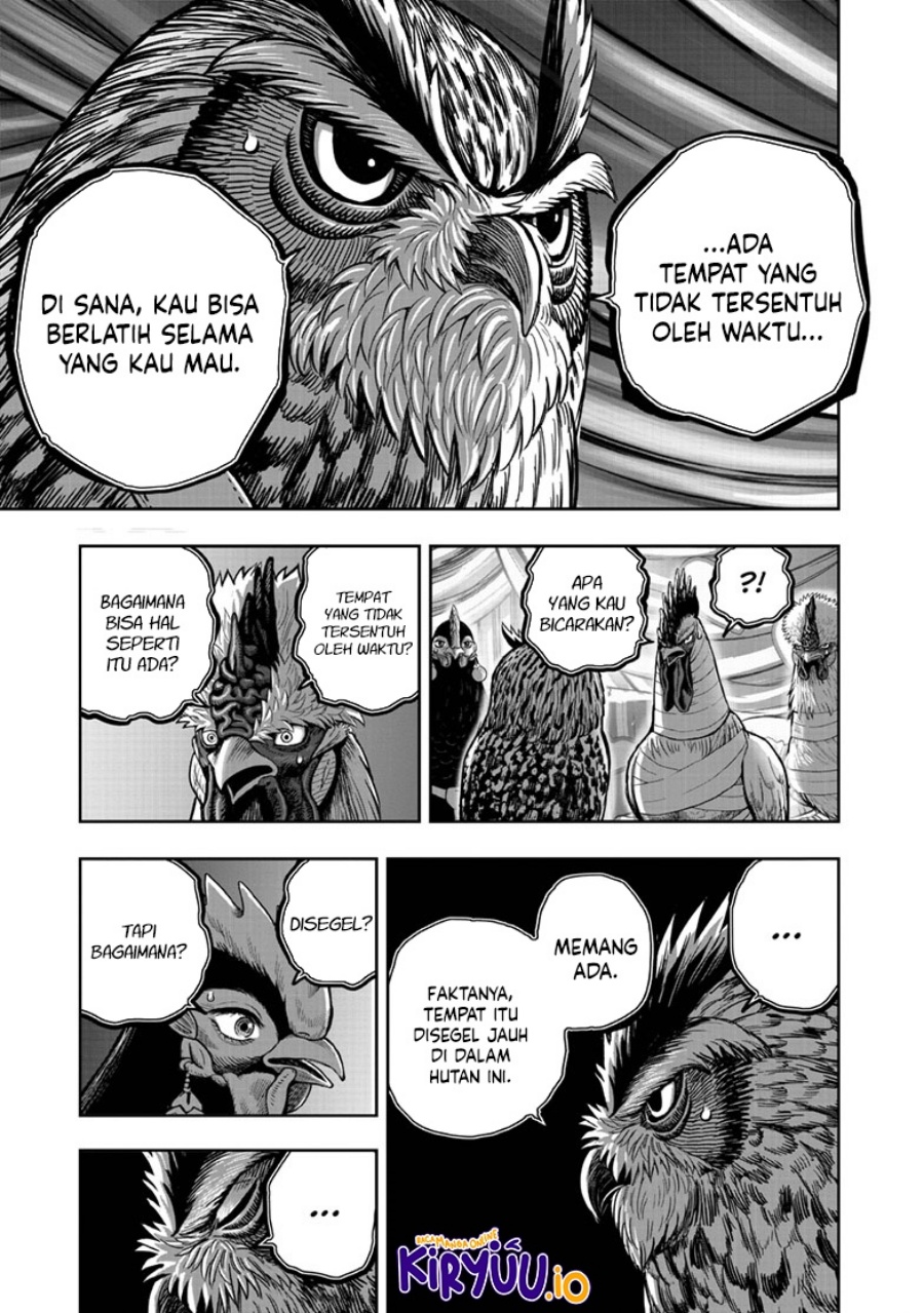 Niwatori Fighter (Rooster Fighter) Chapter 41 Bahasa Indonesia