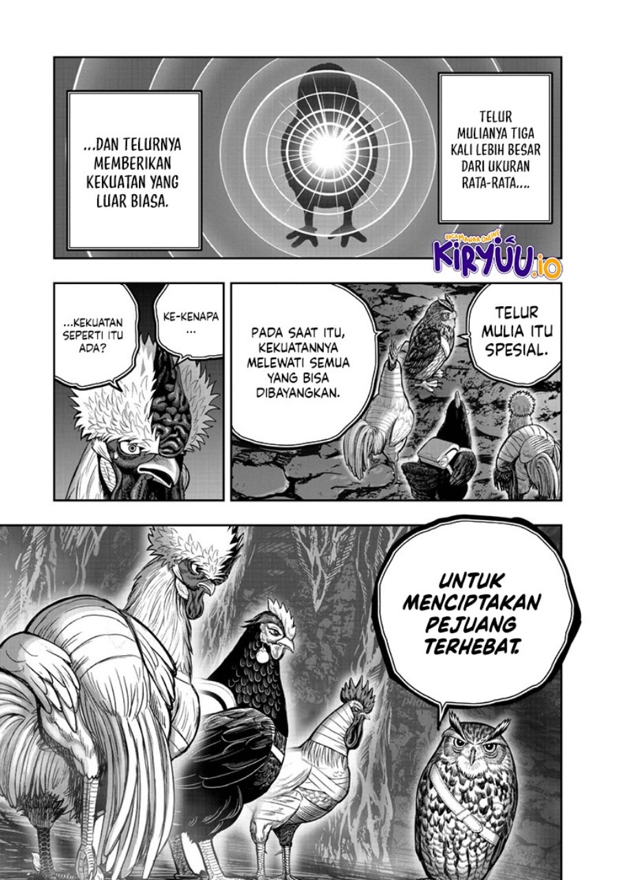 Niwatori Fighter (Rooster Fighter) Chapter 43 Bahasa Indonesia