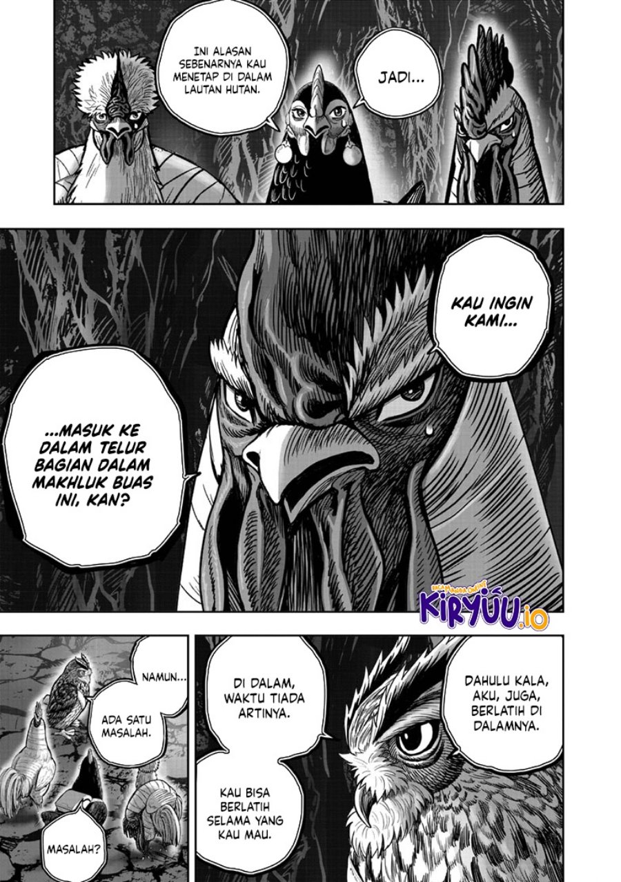 Niwatori Fighter (Rooster Fighter) Chapter 43 Bahasa Indonesia