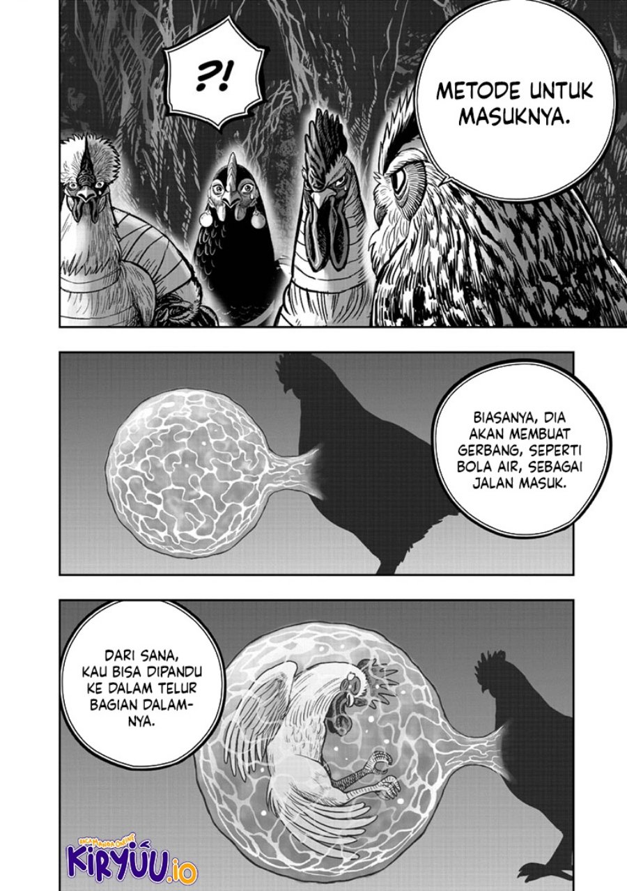 Niwatori Fighter (Rooster Fighter) Chapter 43 Bahasa Indonesia