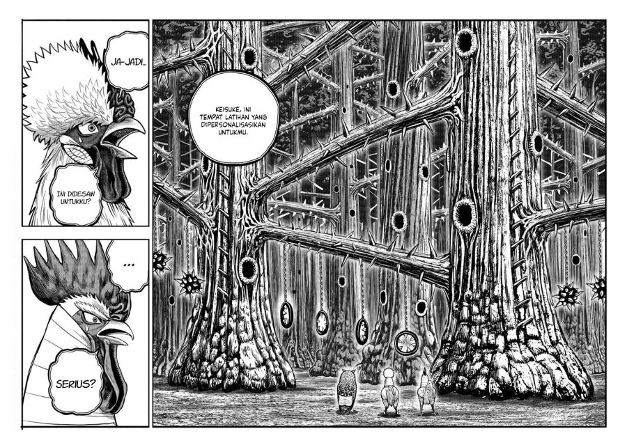 Niwatori Fighter (Rooster Fighter) Chapter 46 Bahasa Indonesia