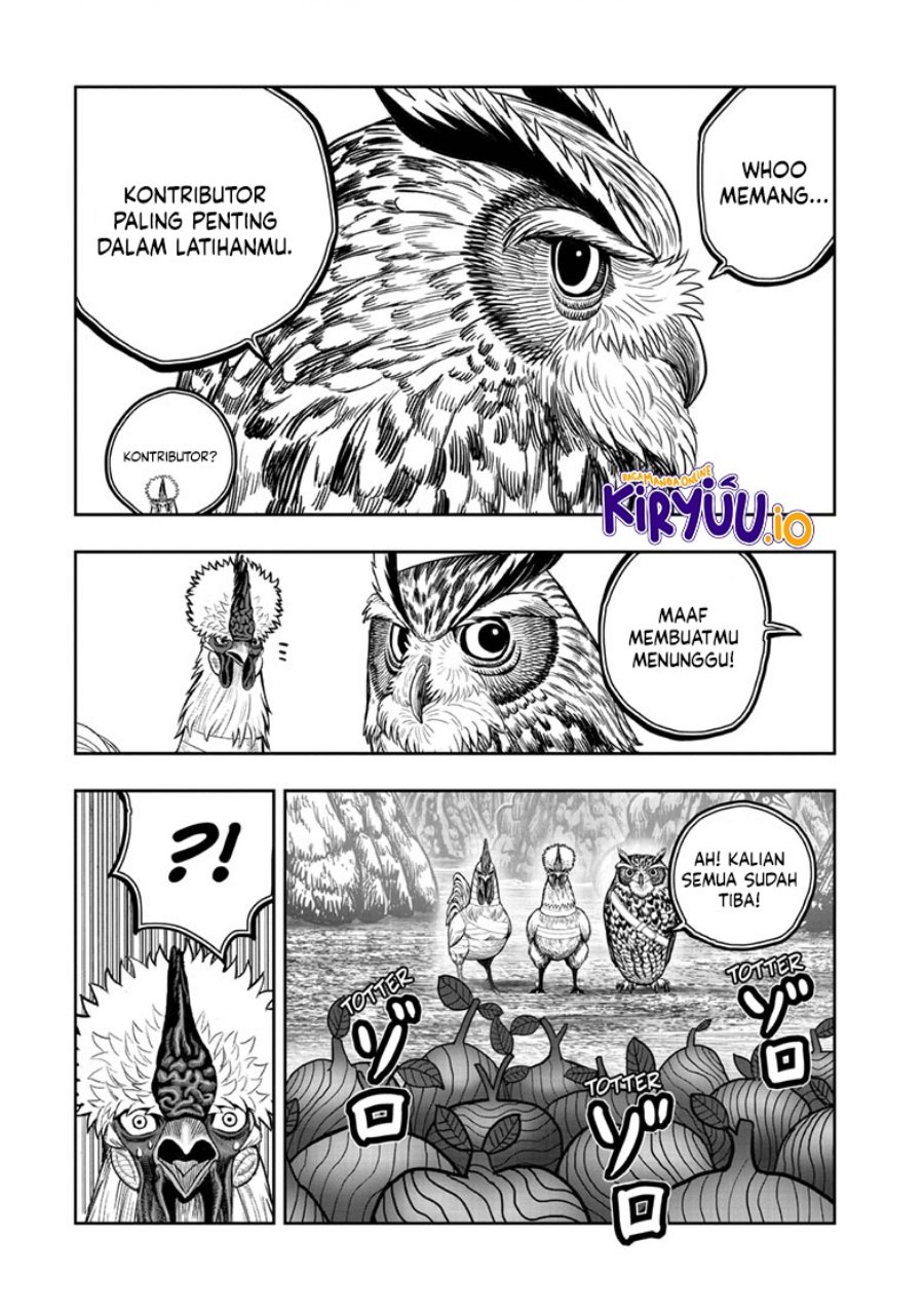 Niwatori Fighter (Rooster Fighter) Chapter 46 Bahasa Indonesia