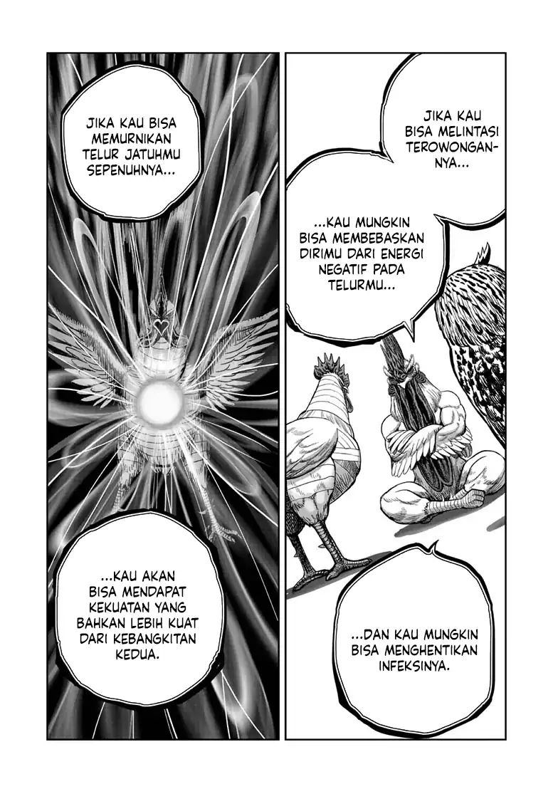 Dilarang COPAS - situs resmi www.mangacanblog.com - Komik rooster fighter 048 - chapter 48 49 Indonesia rooster fighter 048 - chapter 48 Terbaru 23|Baca Manga Komik Indonesia|Mangacan