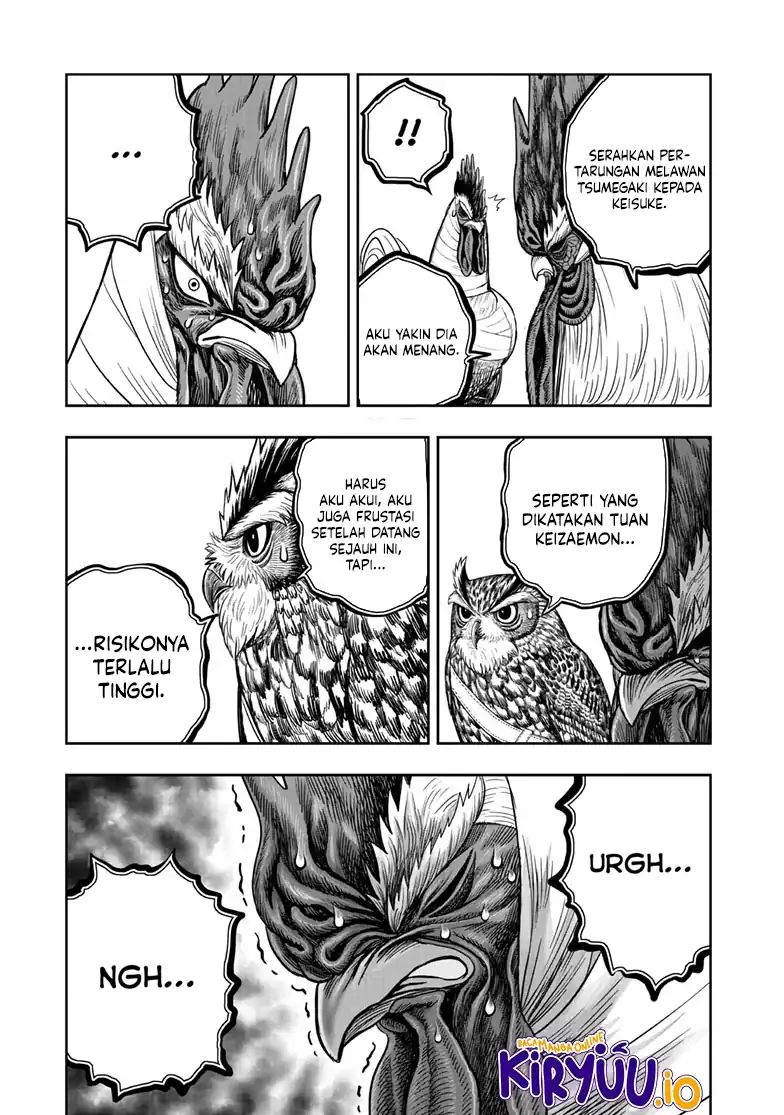 Dilarang COPAS - situs resmi www.mangacanblog.com - Komik rooster fighter 048 - chapter 48 49 Indonesia rooster fighter 048 - chapter 48 Terbaru 31|Baca Manga Komik Indonesia|Mangacan